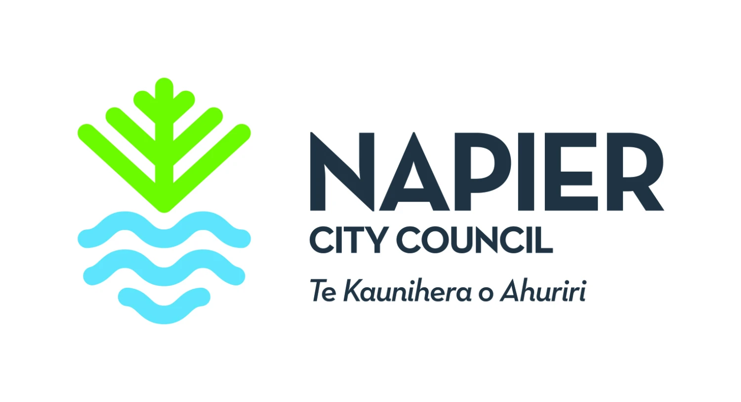 Napier City Council logo